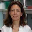 Letizia Lanzetti