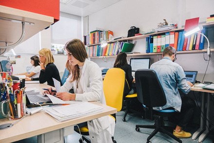 part time phd student room