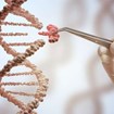 CRISPR-Cas Technology