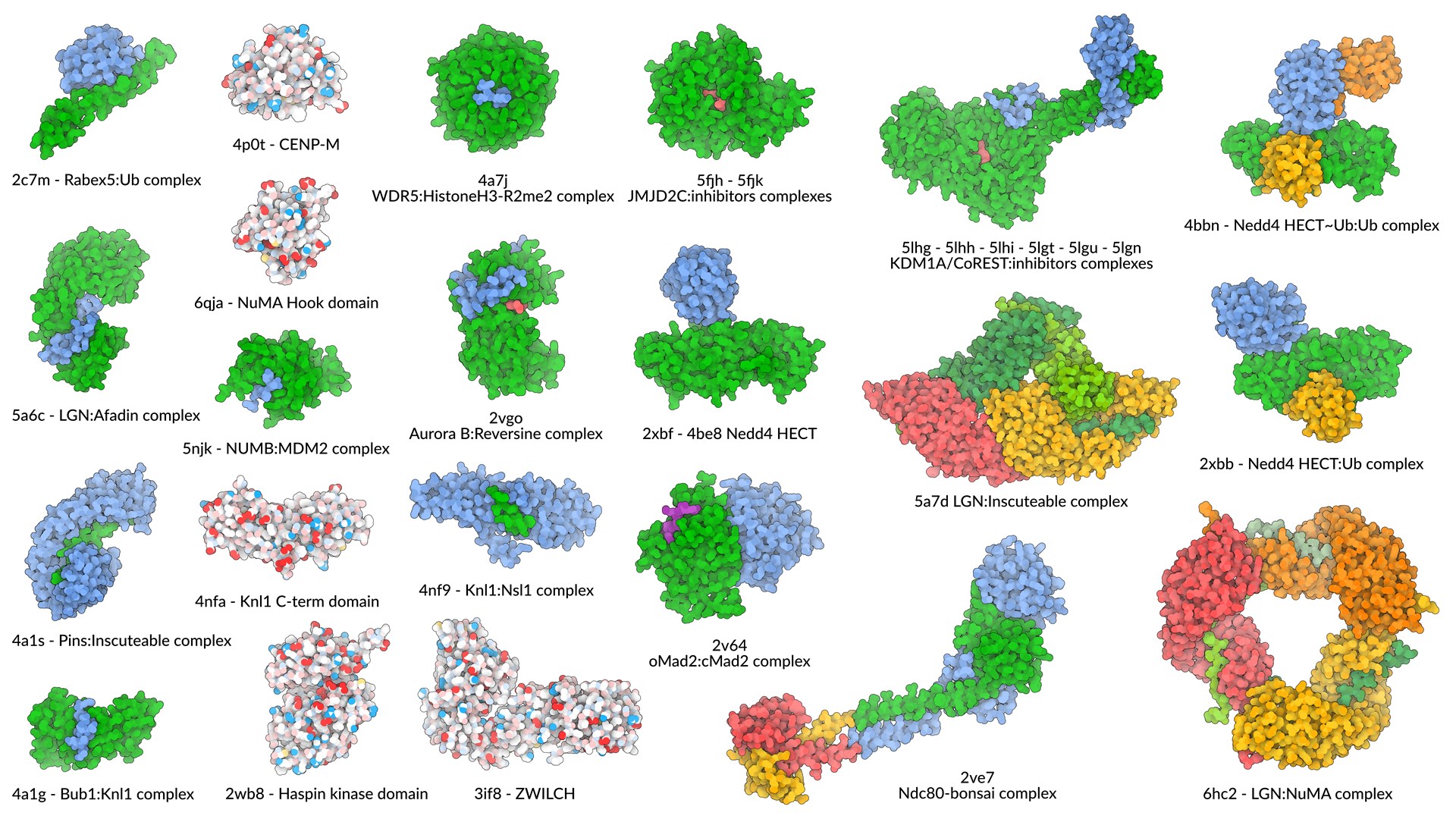 Biochemistry and Structural Biology Unit structures