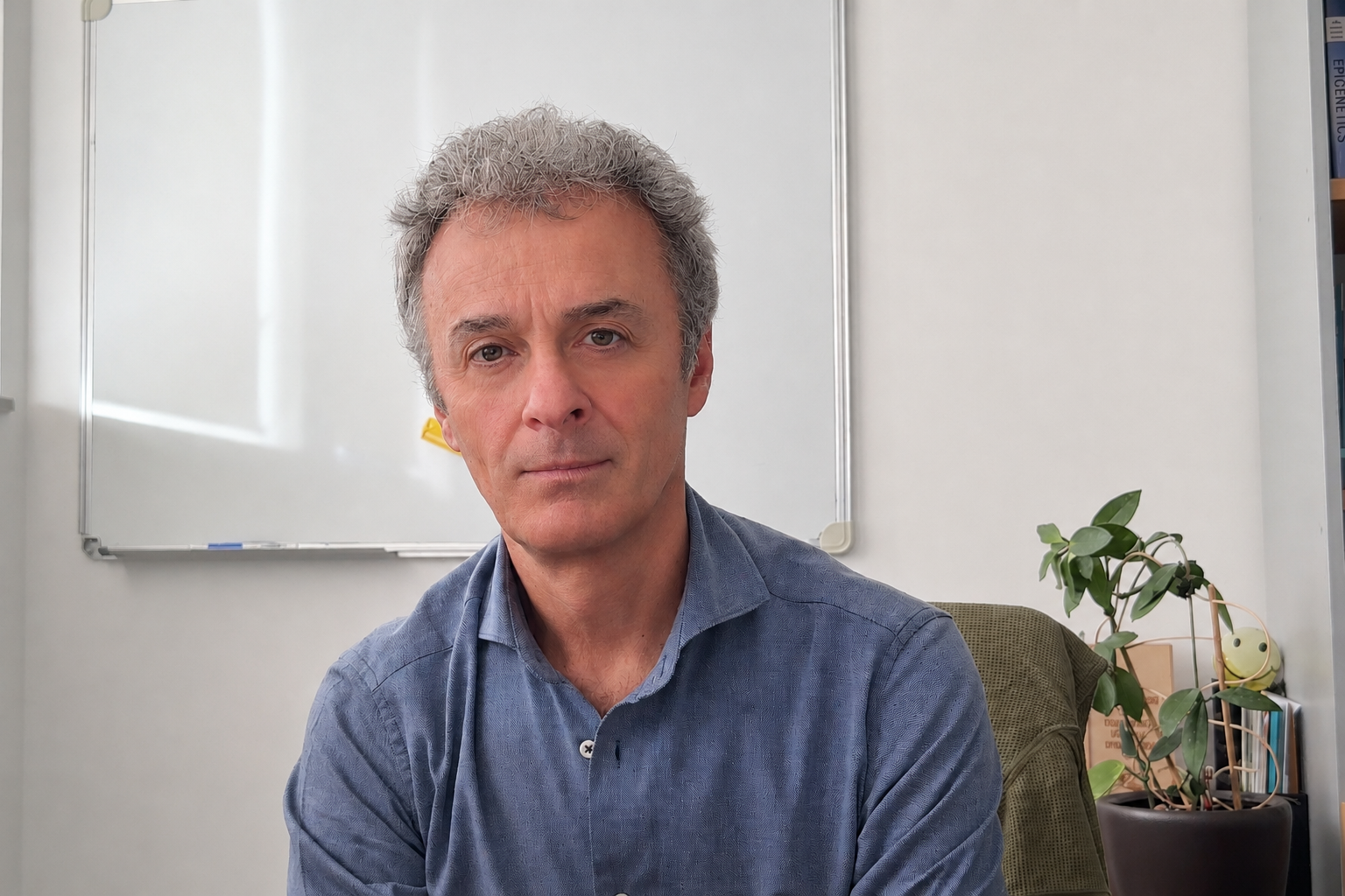 Gioacchino Natoli