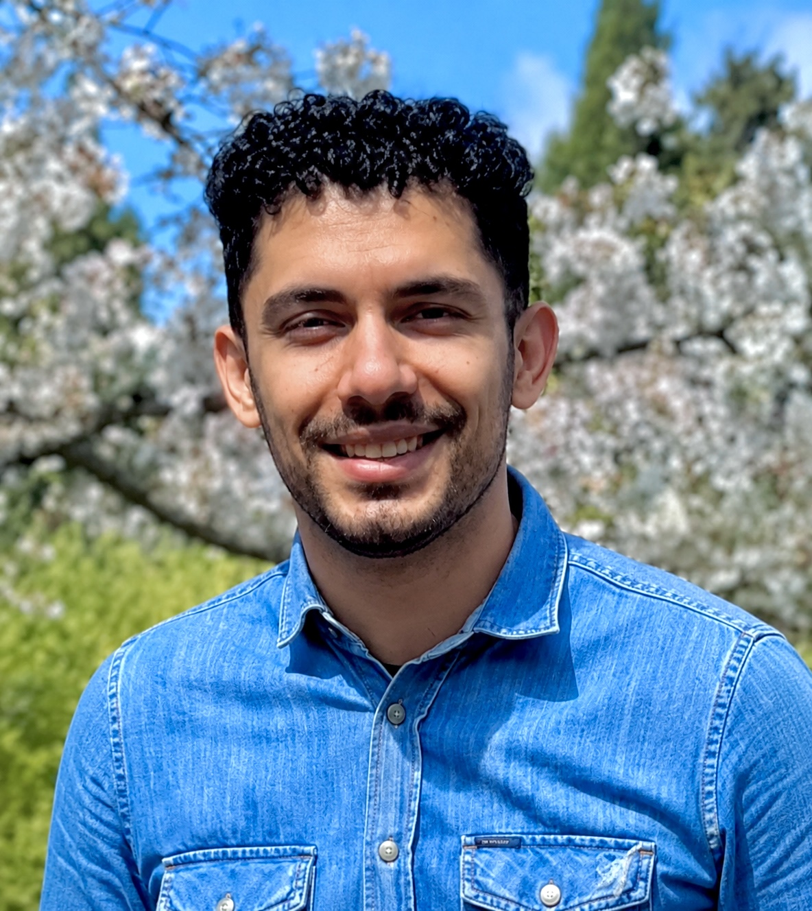 Ali Vafaei Rad