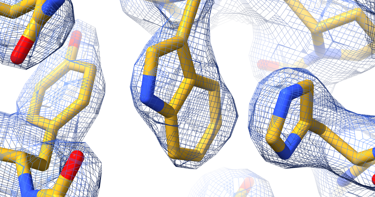 Biochemistry and Structural Biology Unit